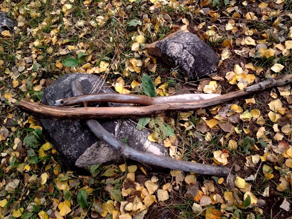 Branches gathered for flute making